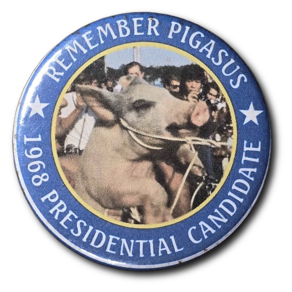 Remember Pigasus The Pig 1968 Presidential Candidate Protest Button B72